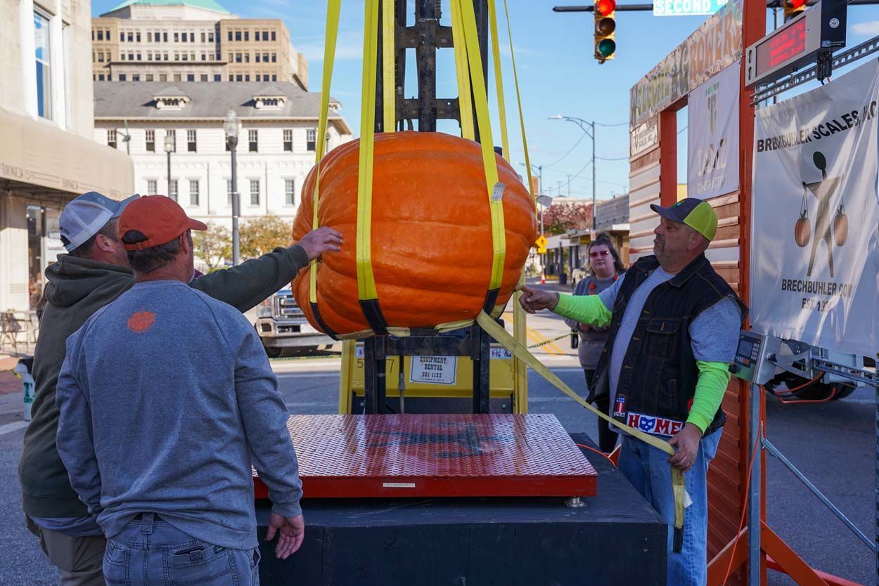 Pumpkin being lifted