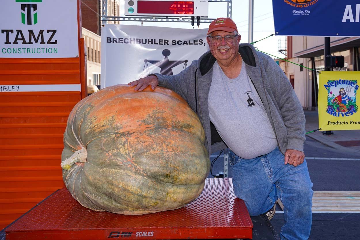 Man and the large pumpkin