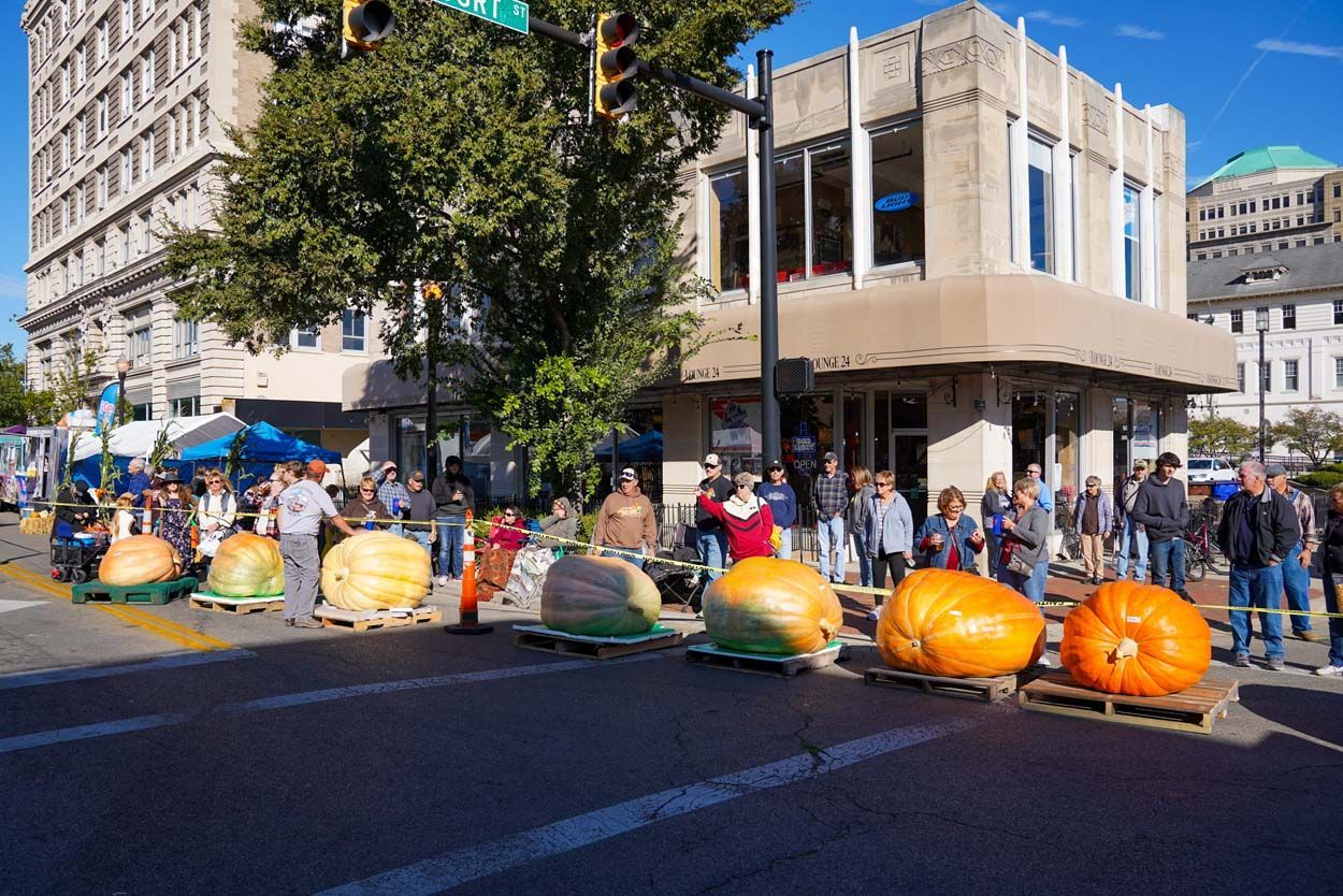 Pumpkin parades