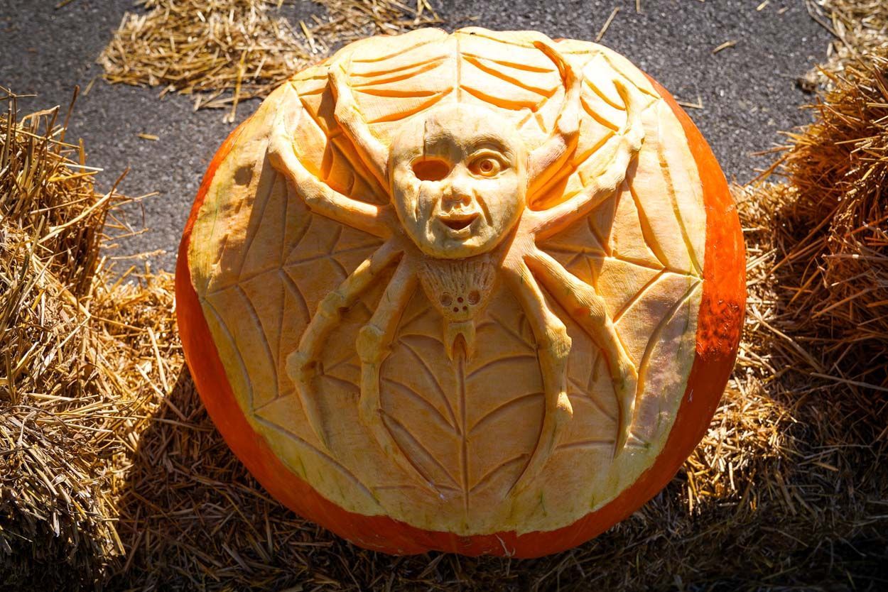Pumpkin with spider design