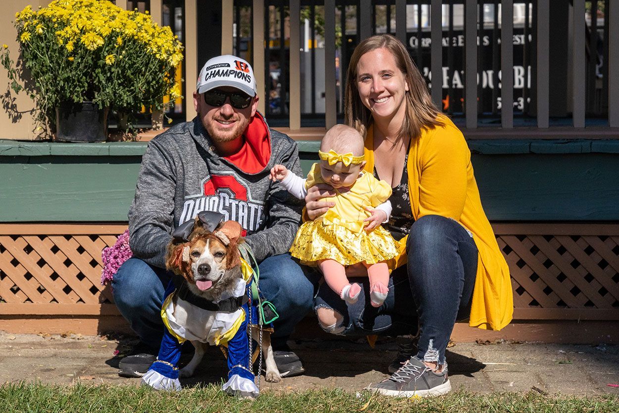 Small dog on a stroller