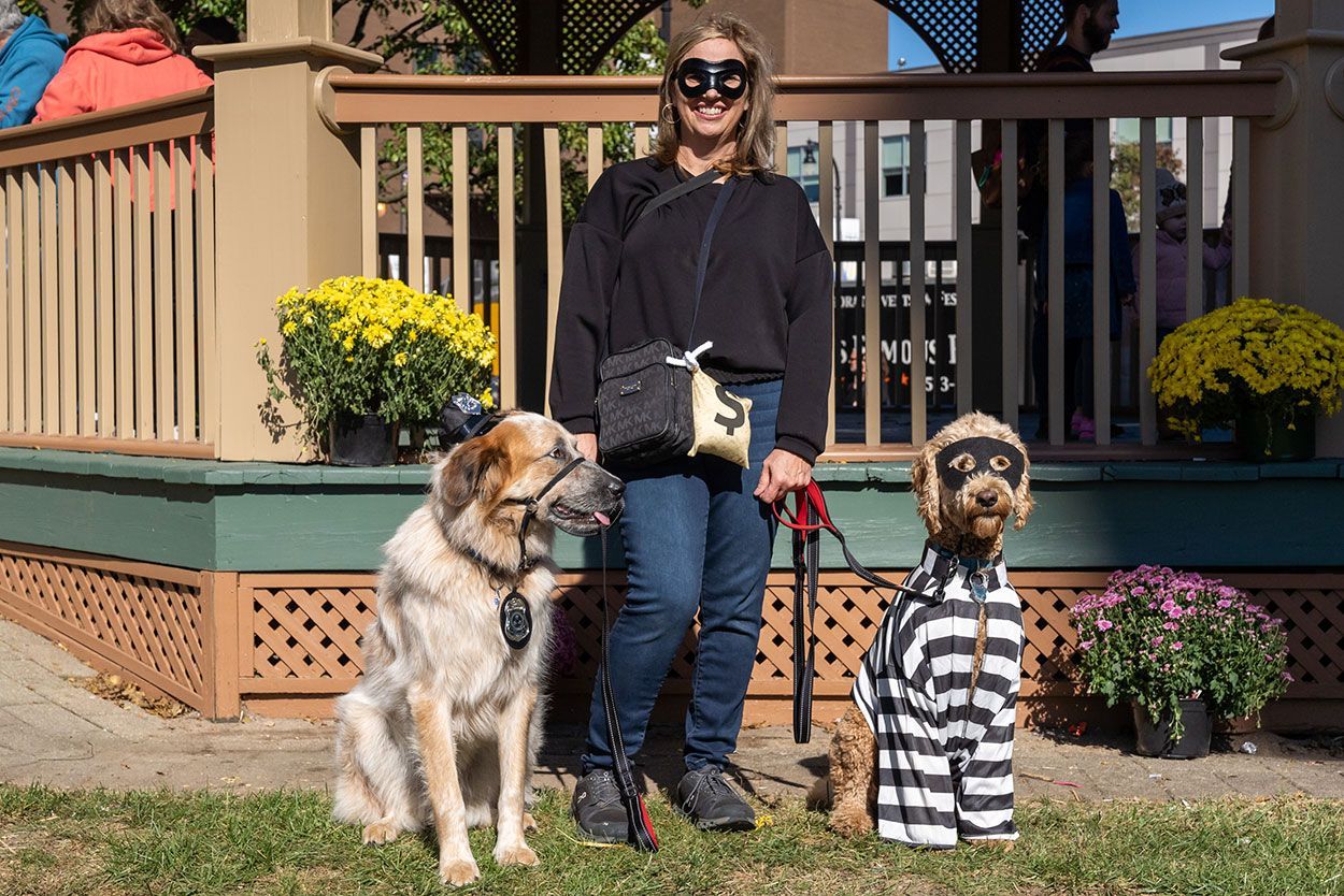 Dog in a mask and stripe dress