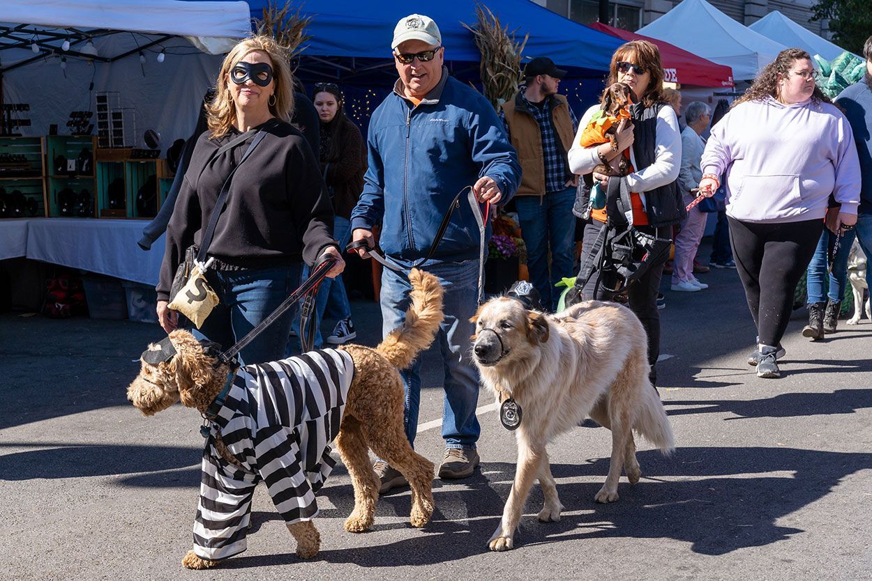 2022 Pet Parade Photos at Operation Pumpkin Festival Hamilton, OH