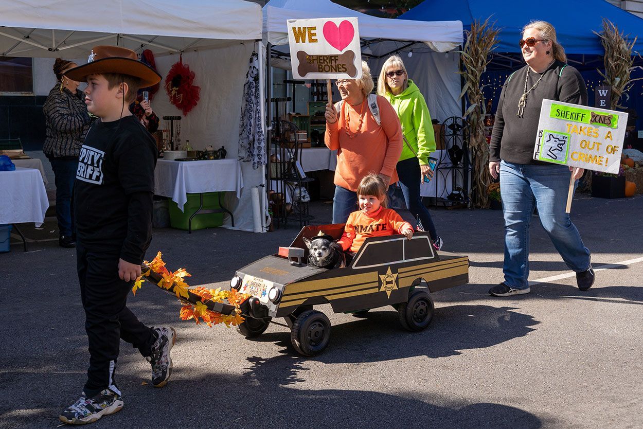 Little dog with a kid