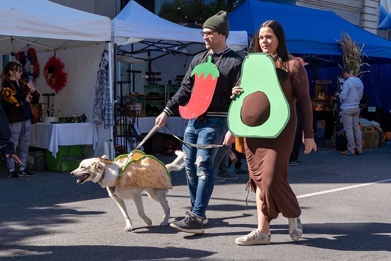 Big dog on a taco custome