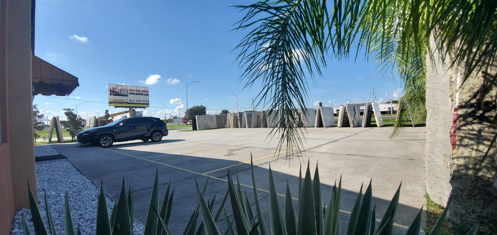 A car is parked in a parking lot next to a palm tree.