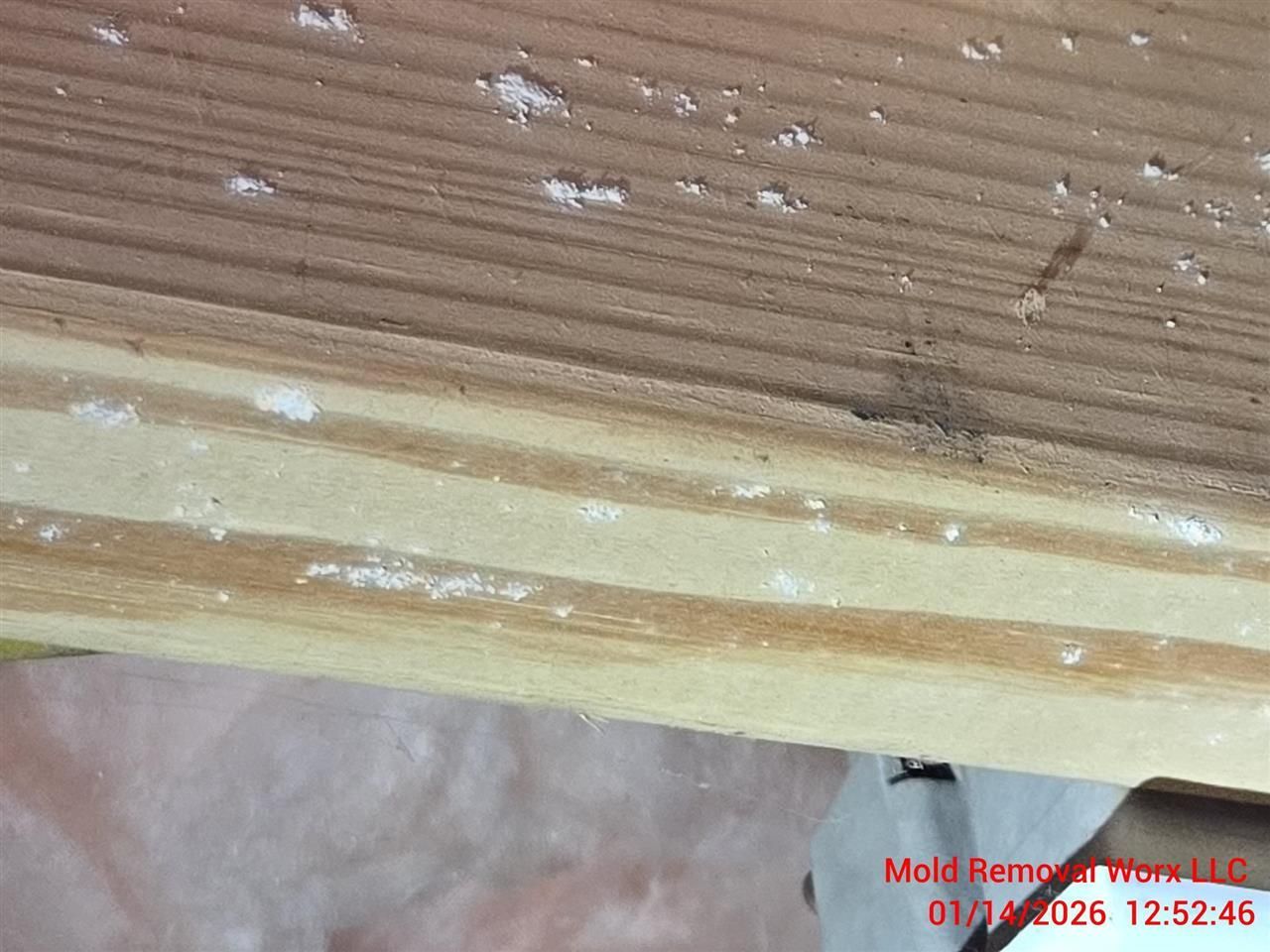 Close-up of wooden structural beams showing small white spots and streaks of possible mold growth.