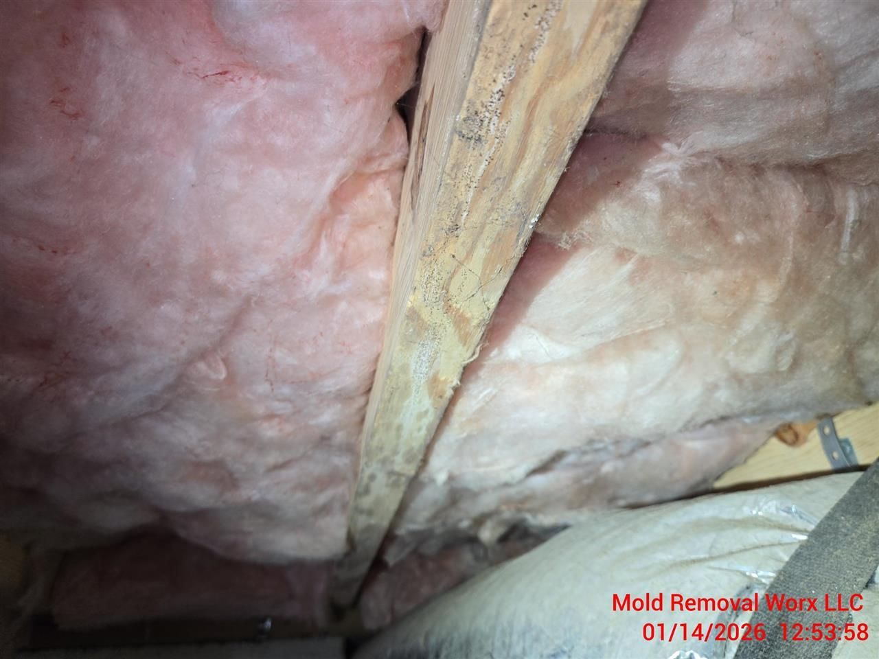 A wooden attic rafter surrounded by pink fiberglass insulation, with a timestamp and company name in the corner.