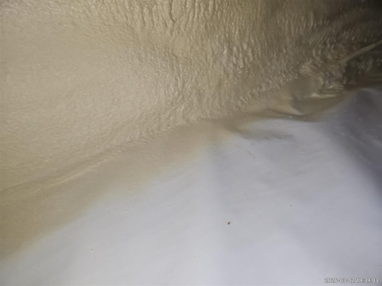 A beige spray foam insulation layer meets a white plastic vapor barrier in a crawl space.