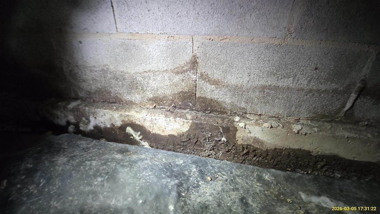 A damp concrete crawl space wall with visible water staining and moisture accumulation near the floor level.