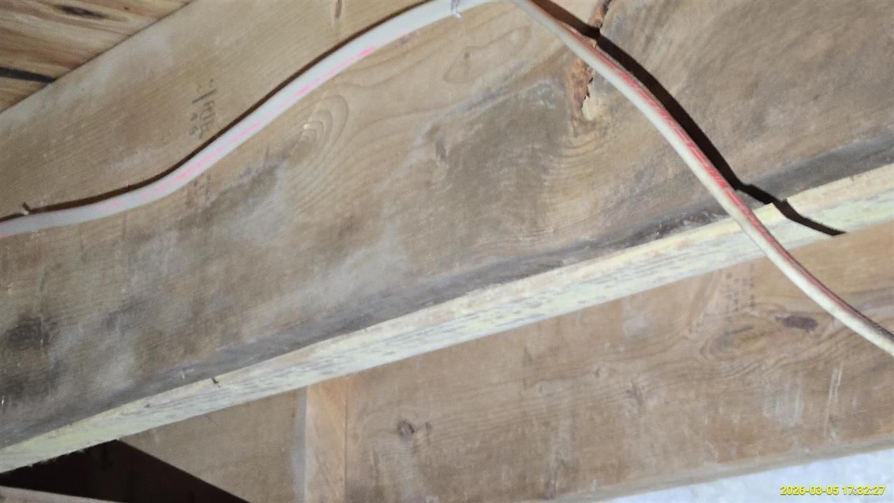 A wooden floor joist with dark stains and mold growth, crossed by a thin electrical cable.