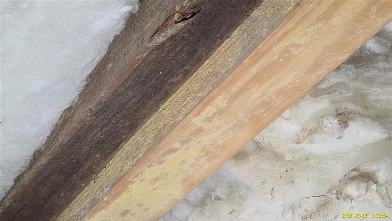 A close-up view of a dark, weathered wooden beam resting against layers of white fiberglass attic insulation.