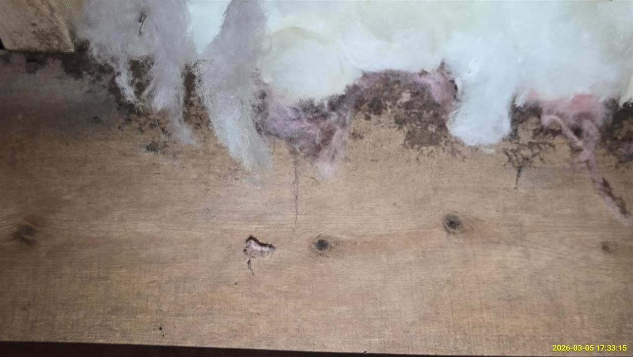 Loose pink and white fiberglass insulation sits atop a wood-paneled surface with a few small dark holes.