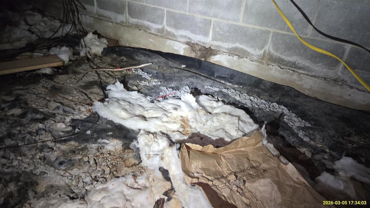 Insulation and dark, discolored debris covering a damp crawl space floor against a concrete block foundation wall.