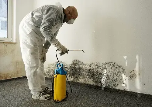 A person in protective gear uses a yellow sprayer to apply treatment to mold on an interior wall.