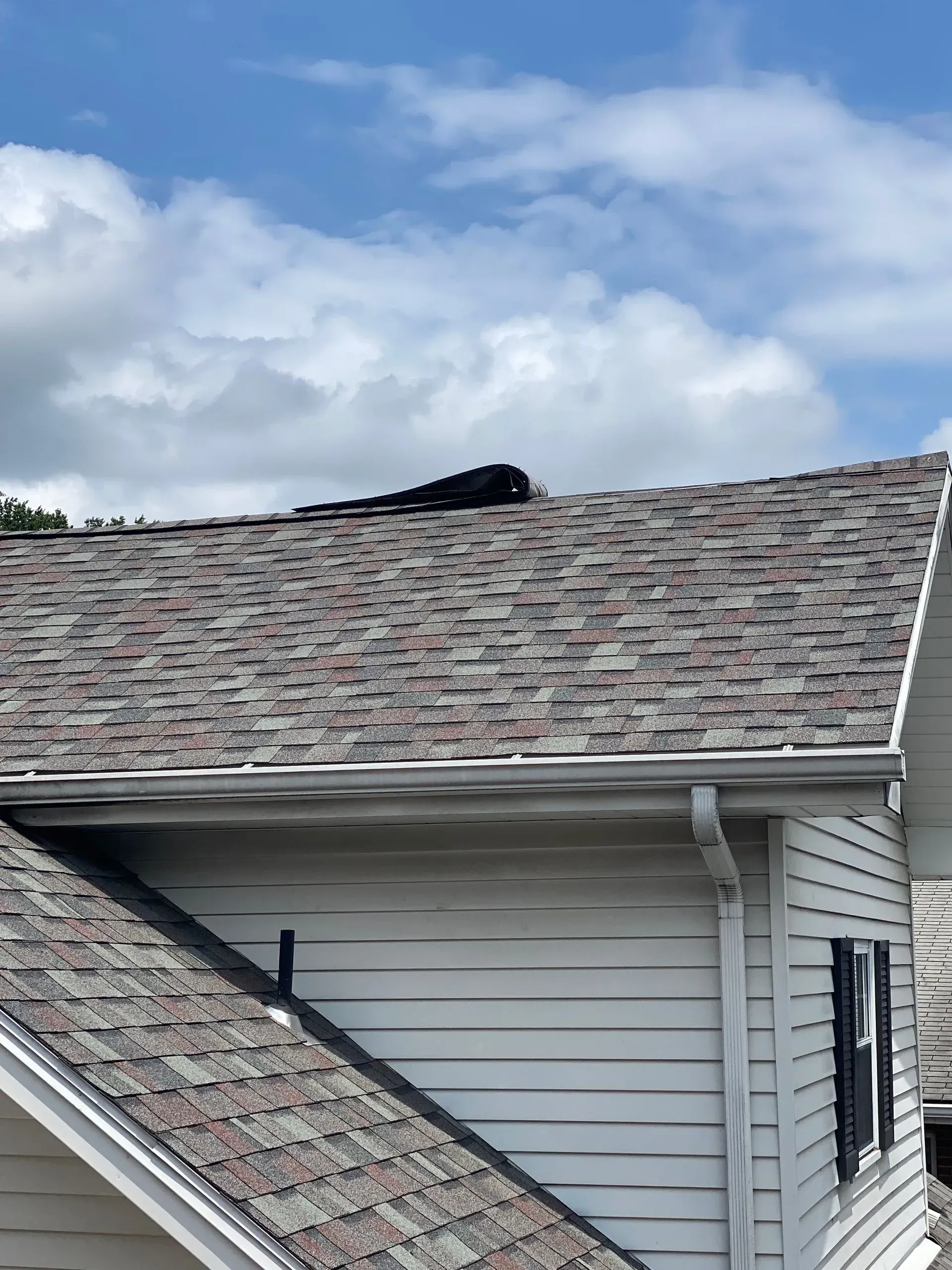 Black object on a shingled roof under a cloudy sky.