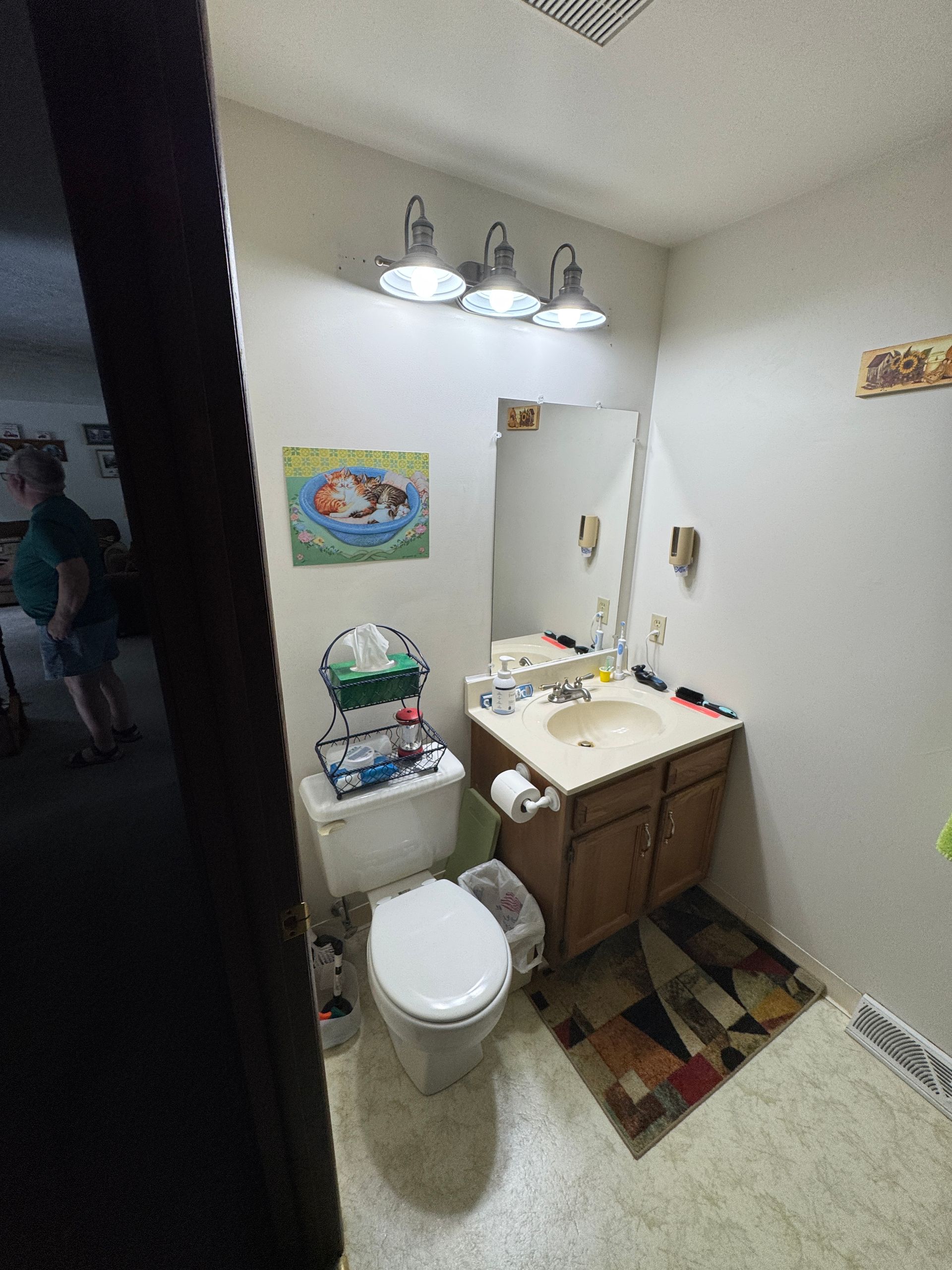 Bathroom with toilet, sink, mirror, and a decorative rug. A person is visible in the doorway.