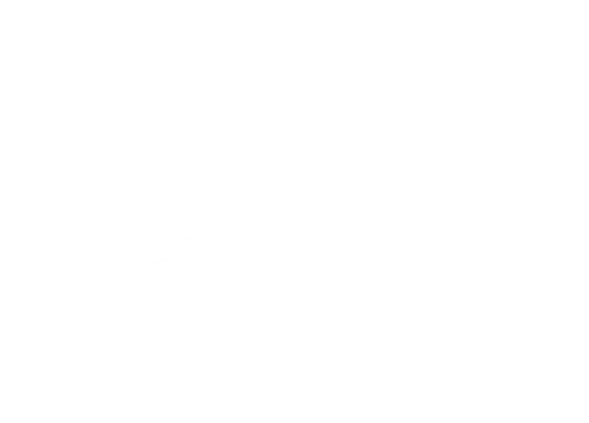 Ridgeline Forestry-Logo