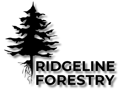 Black tree silhouette logo with “RIDGELINE FORESTRY” text on a white background