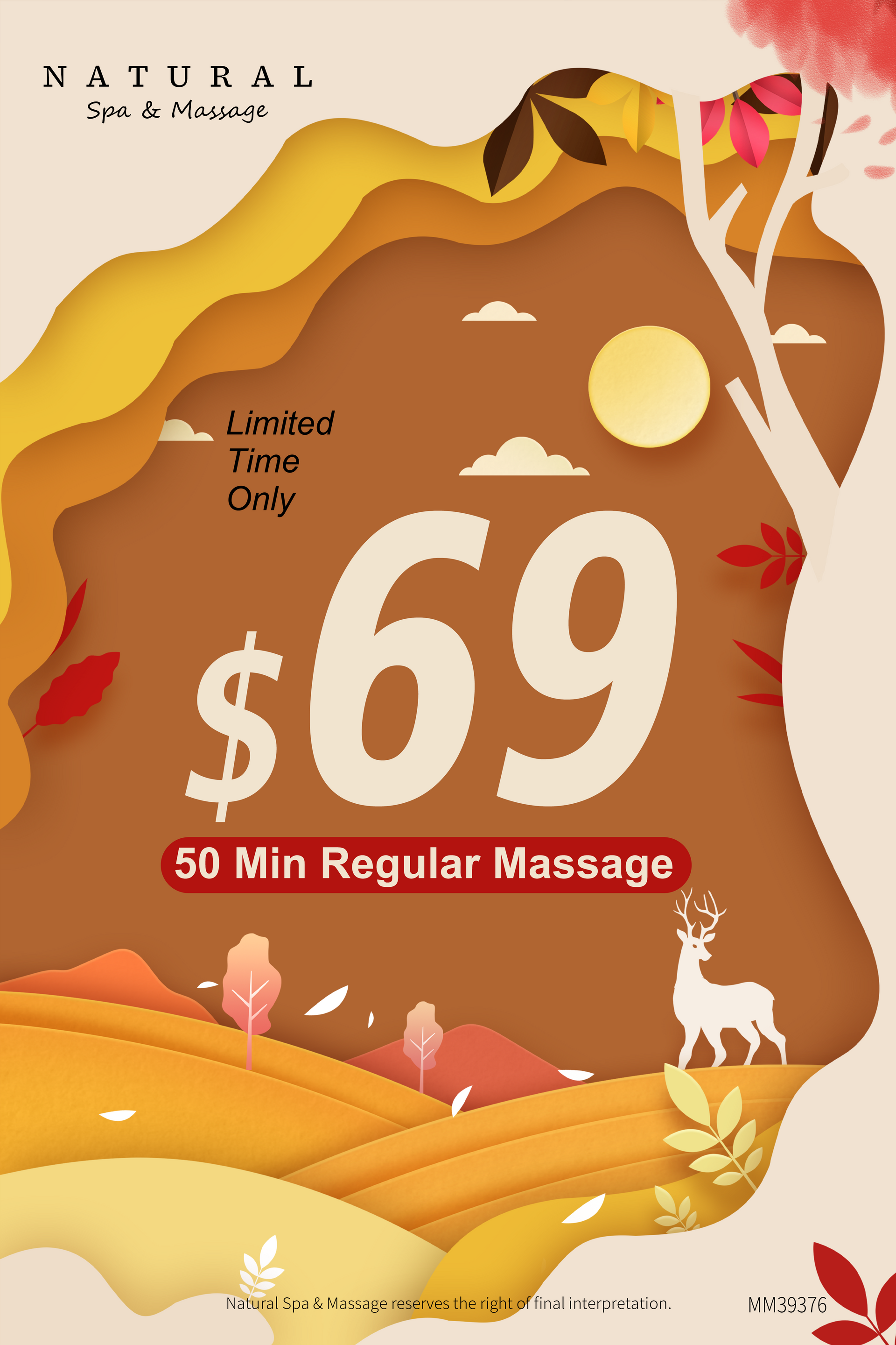 Offer Flyer for Natural Spa & Massage