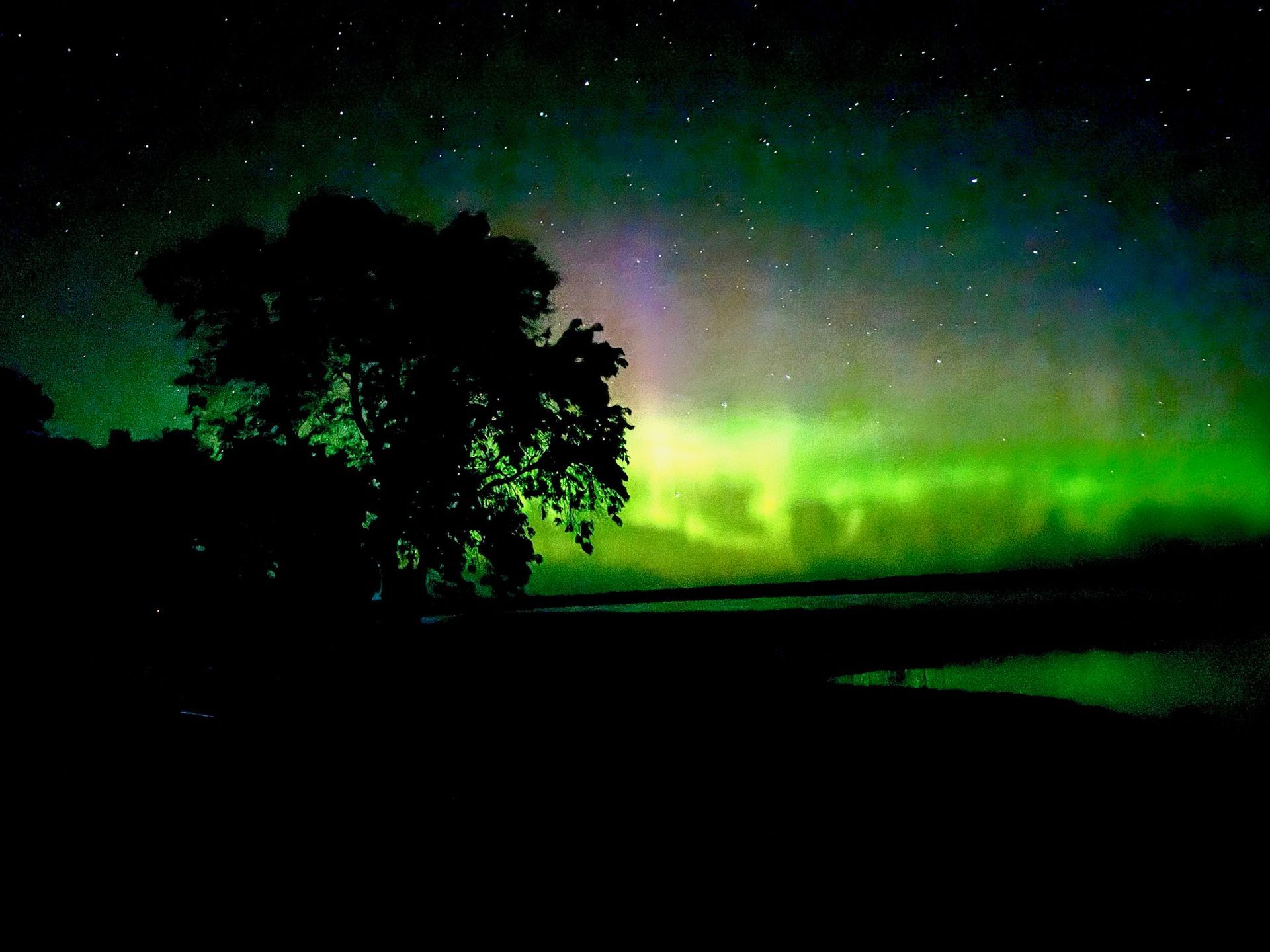 The aurora borealis is visible over a lake with a tree in the foreground.