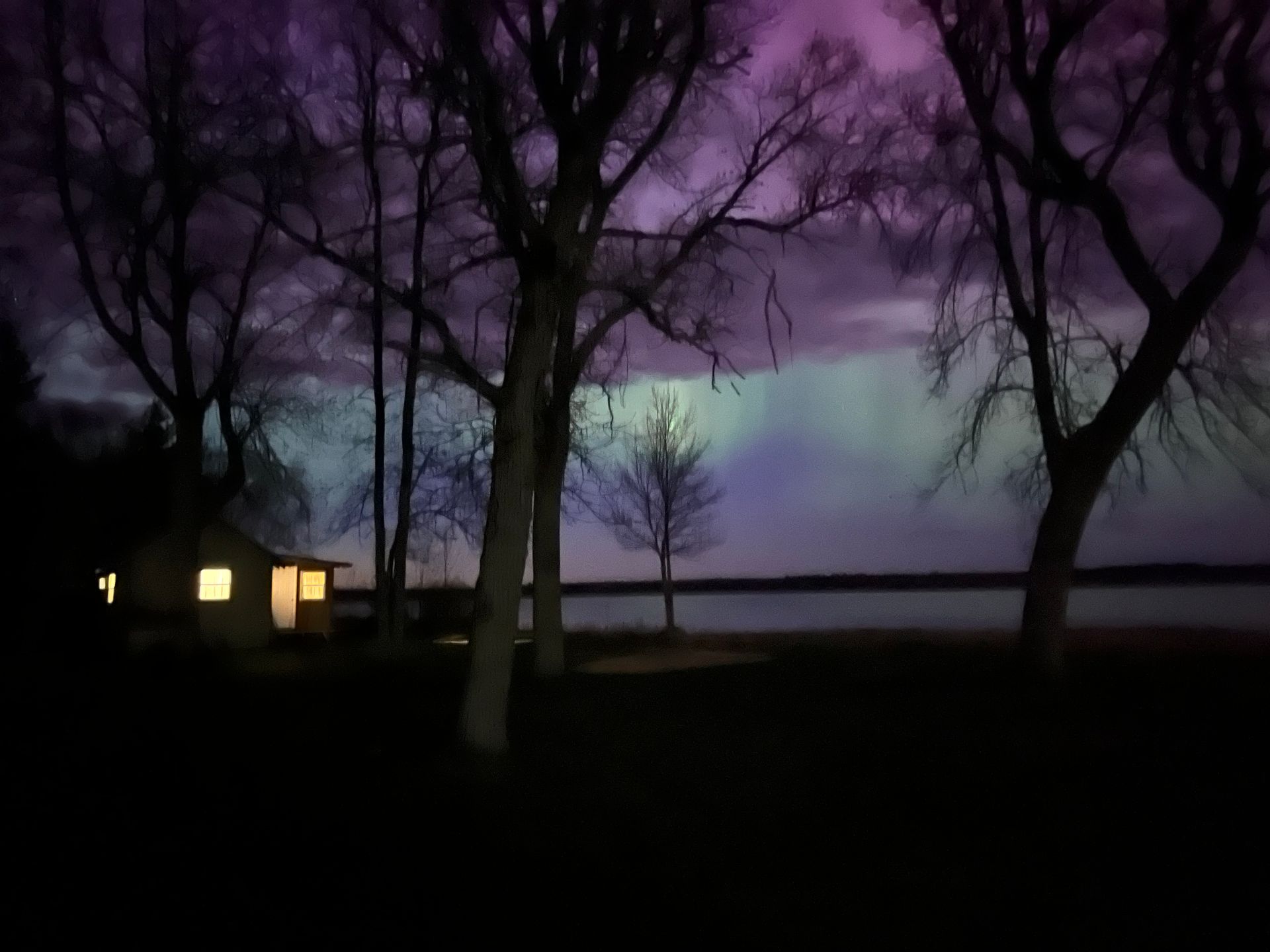 A purple sky with trees in the foreground and a house in the background