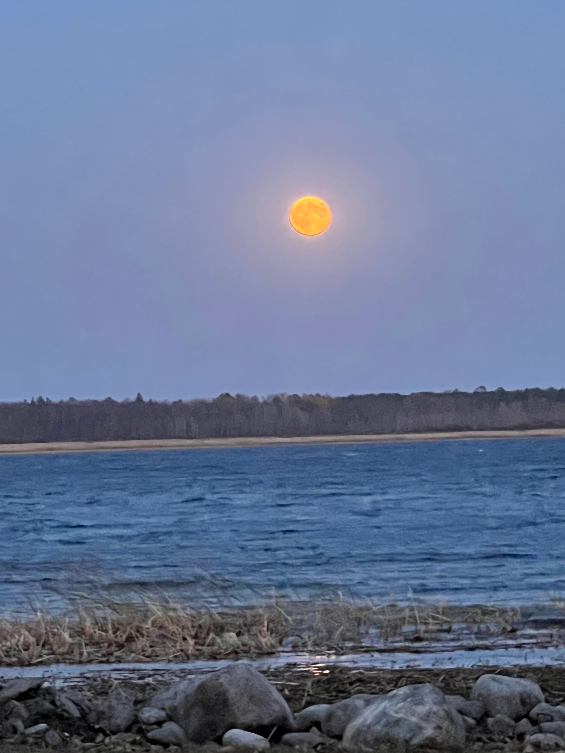 A full moon is rising over a body of water.