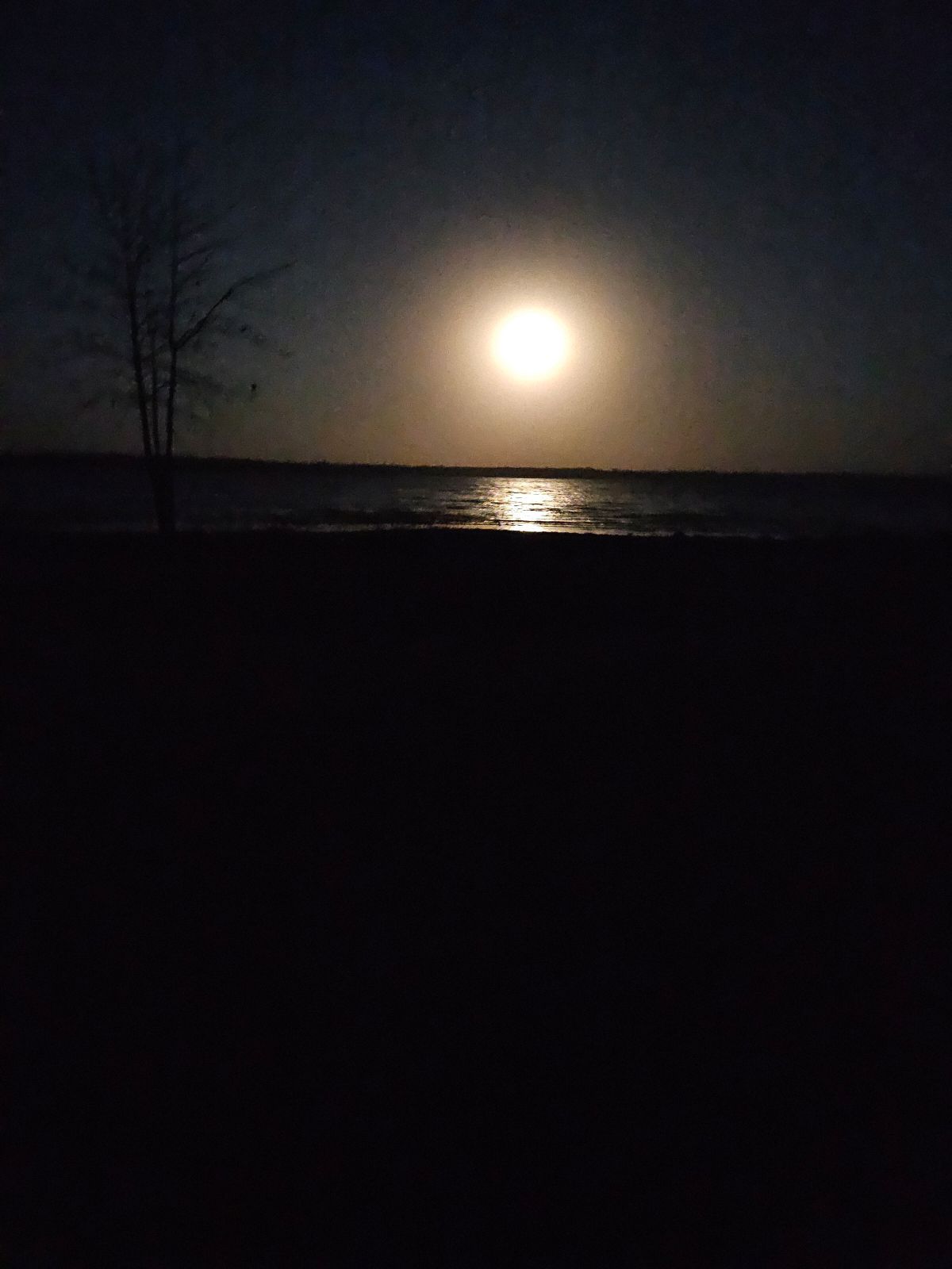 A full moon is rising over the ocean at night.