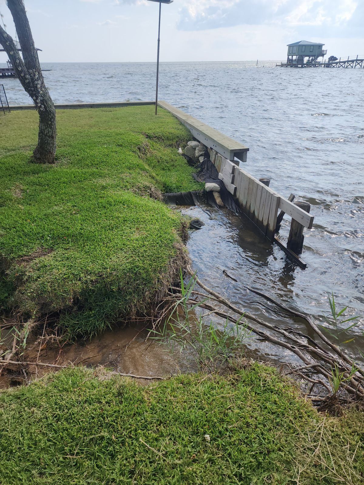 Erosion on a grassy shoreline. Water laps at the grass and a deteriorating retaining wall.