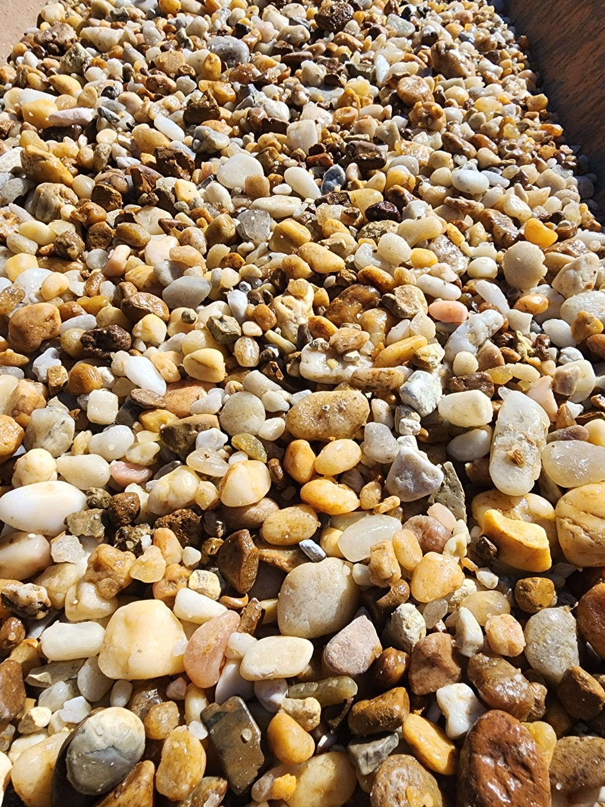 Close-up of a pile of small, multicolored pebbles, varying in shape and size.