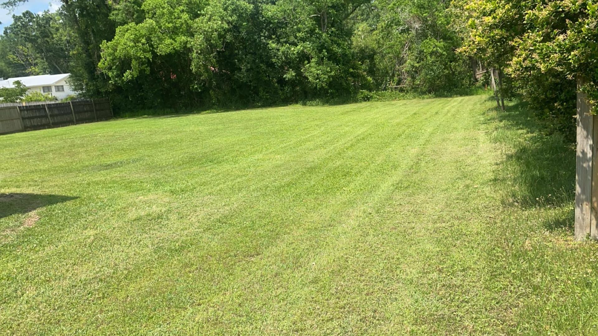 Lawn, freshly mowed, slopes up towards treeline, with a house visible on the left.