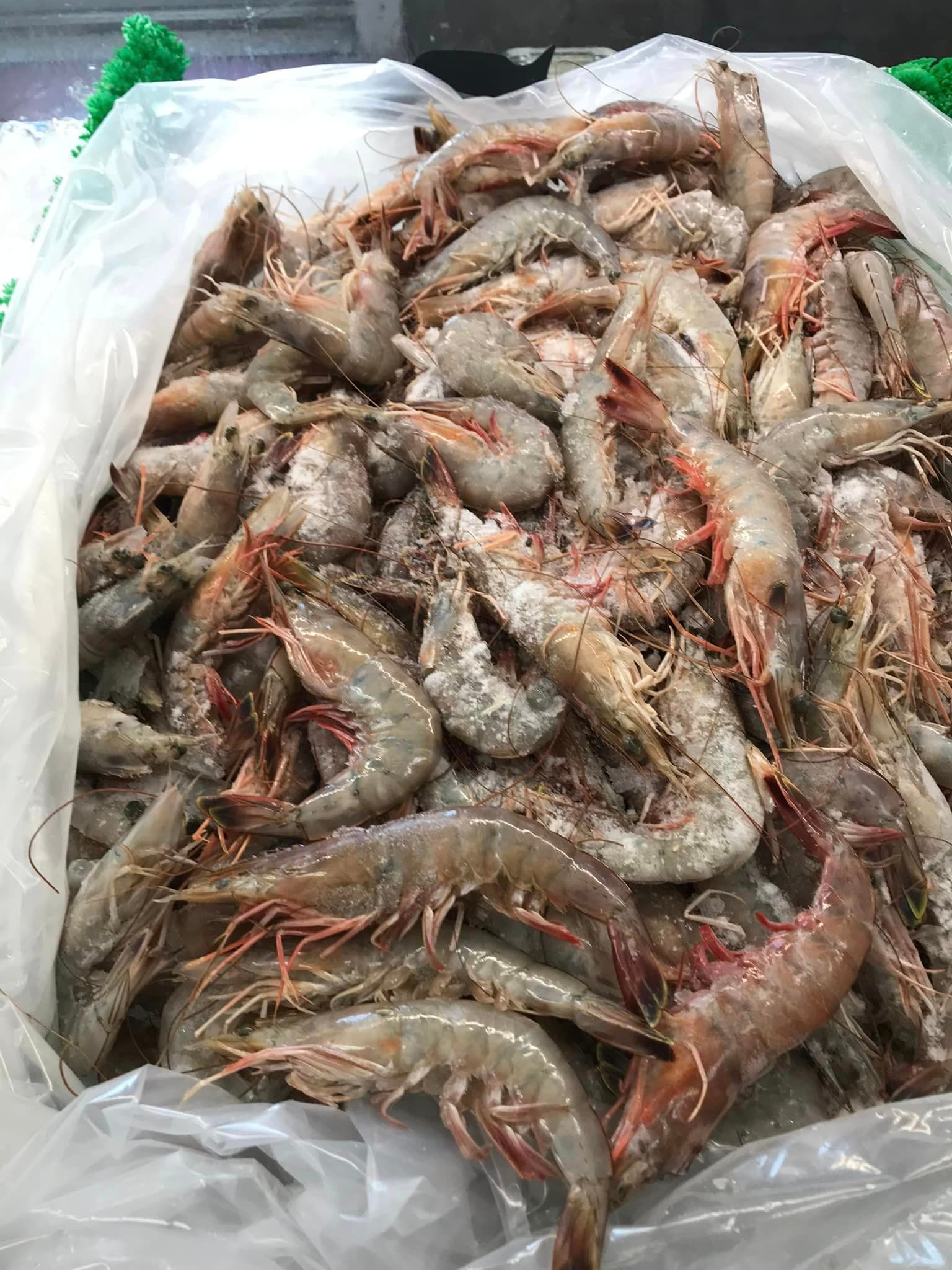 Shrimps