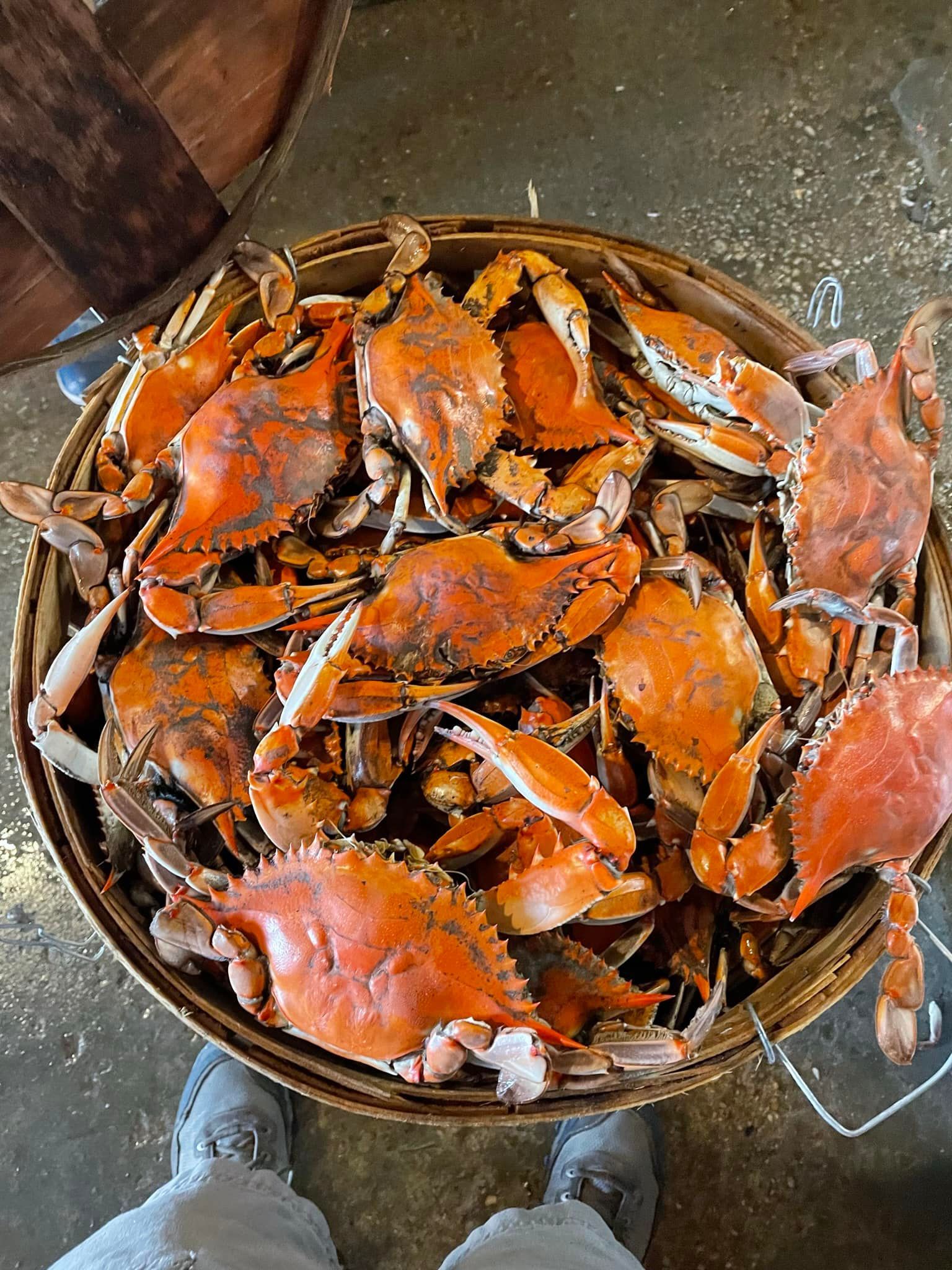 Crabs