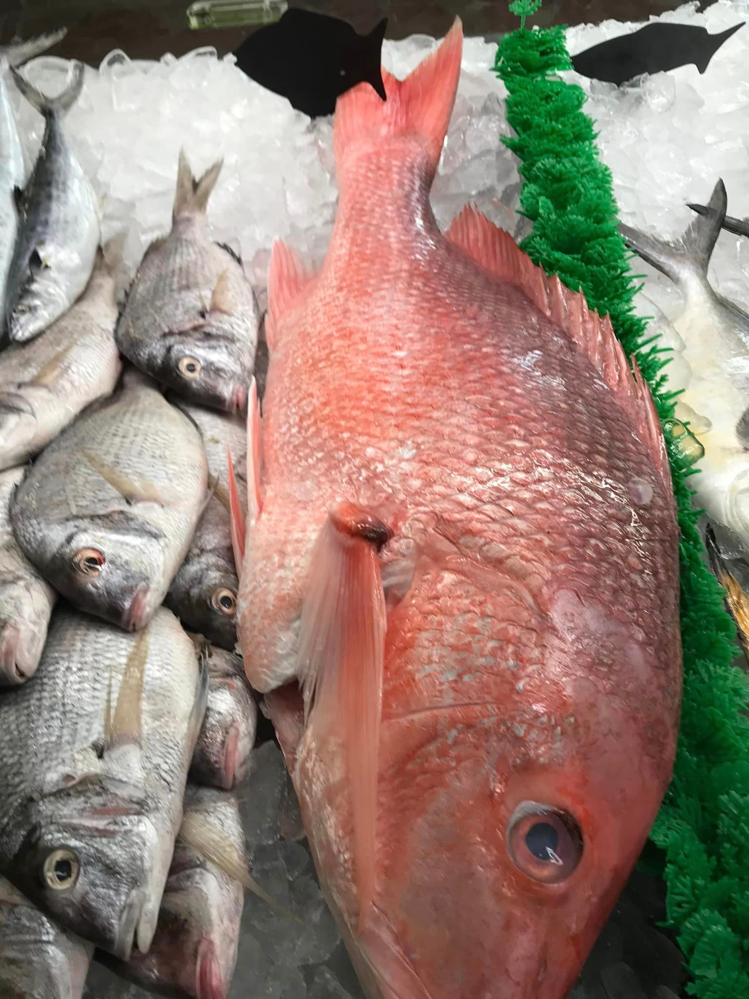 Fresh fish