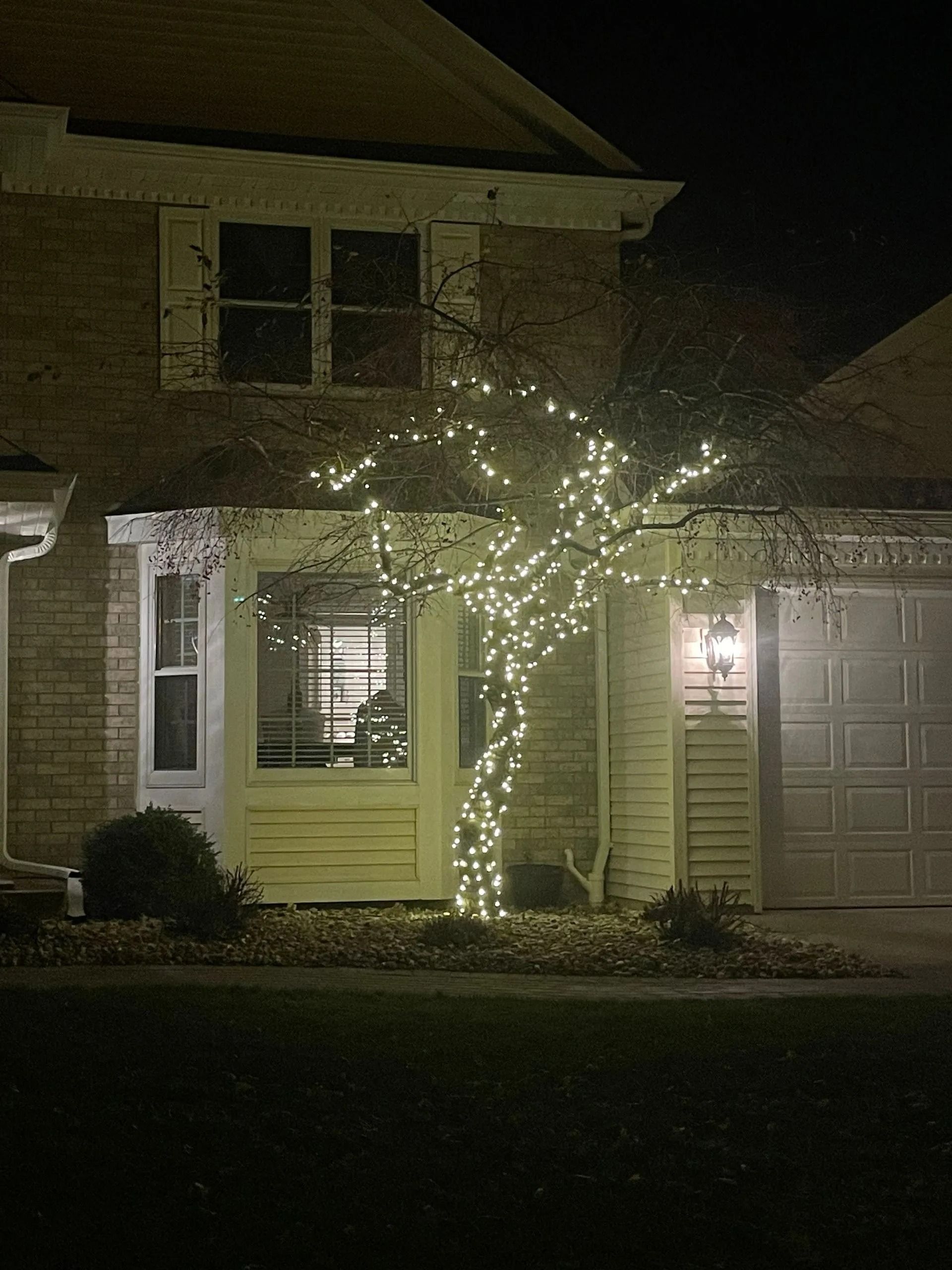 House with a tree wrapped in white Christmas lights. Nighttime, with lights illuminating the front.