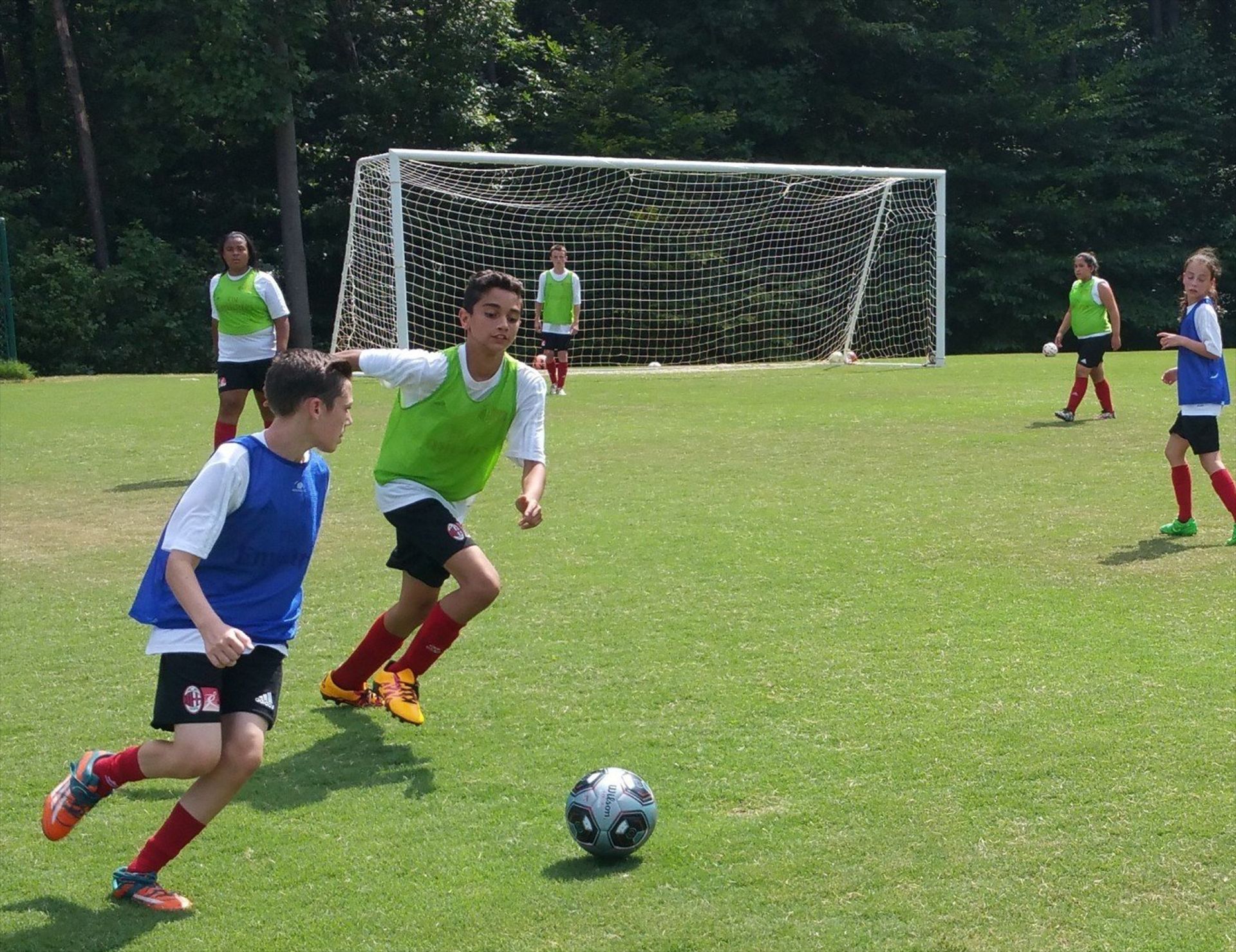 Private and Team Training