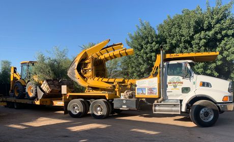 Tree Relocating Services