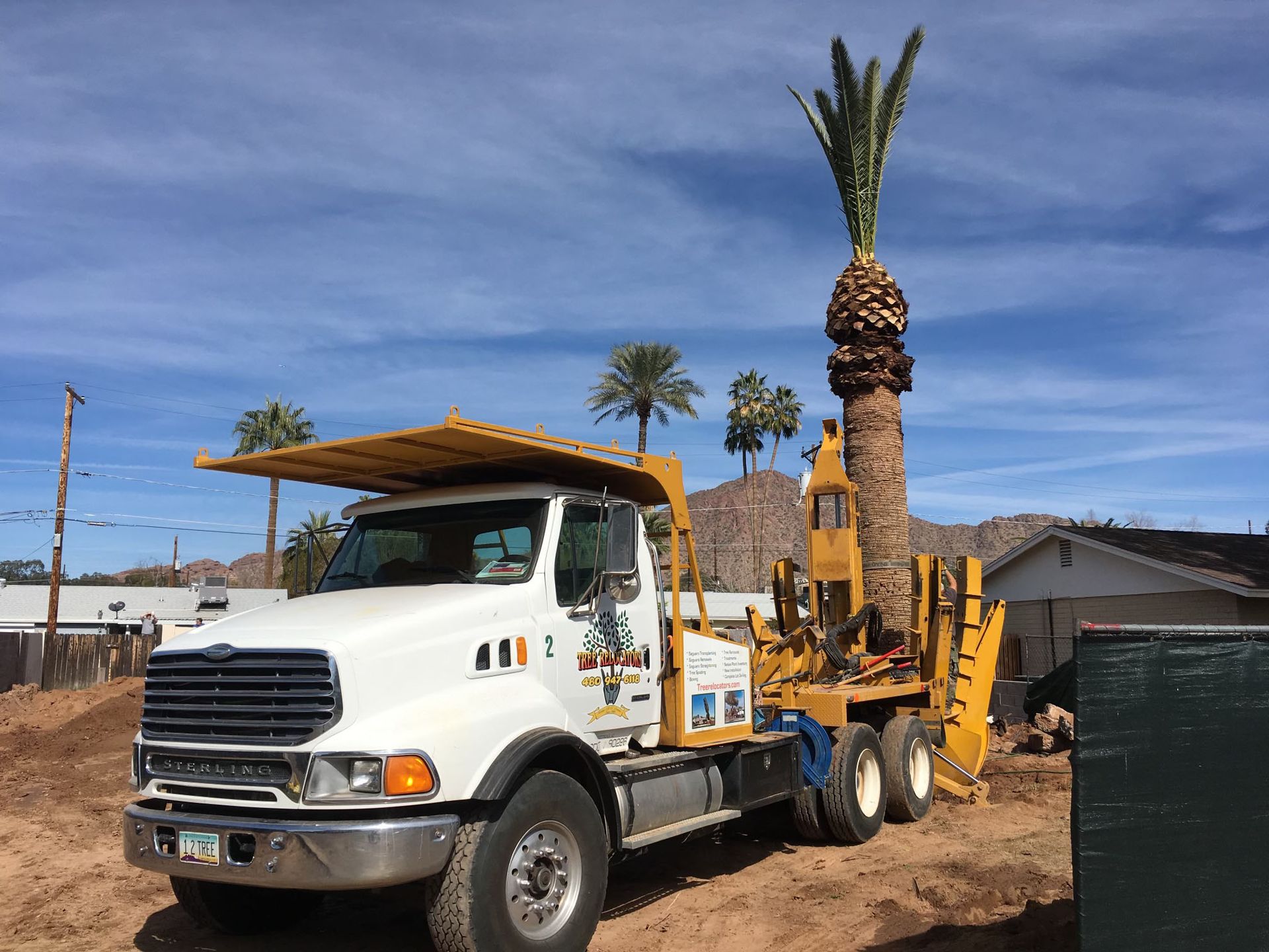 tree-relocators-inc Services