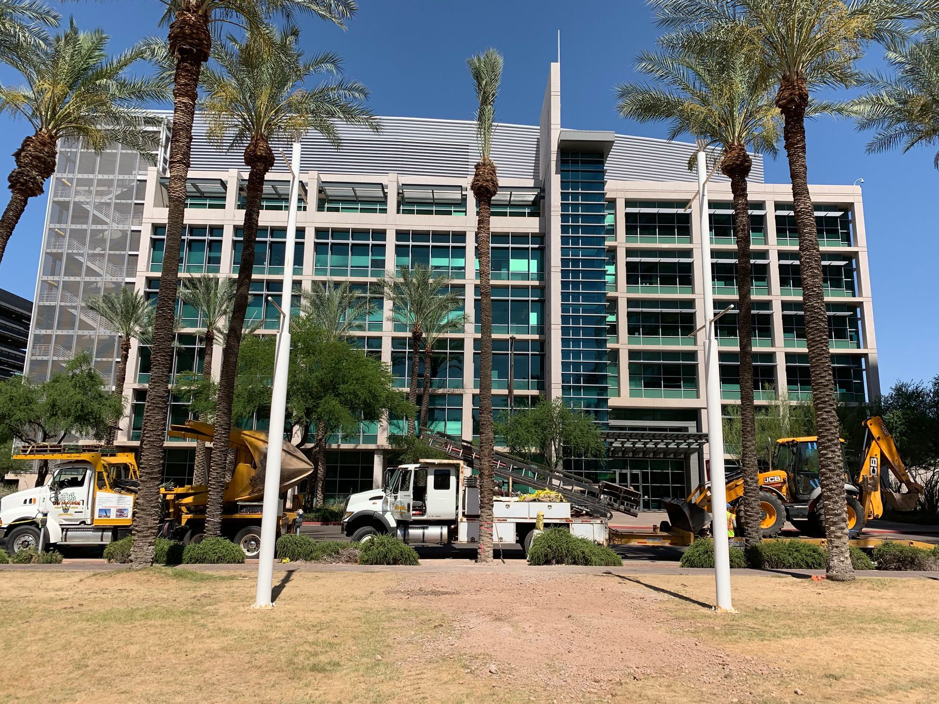 tree-relocators-inc Services