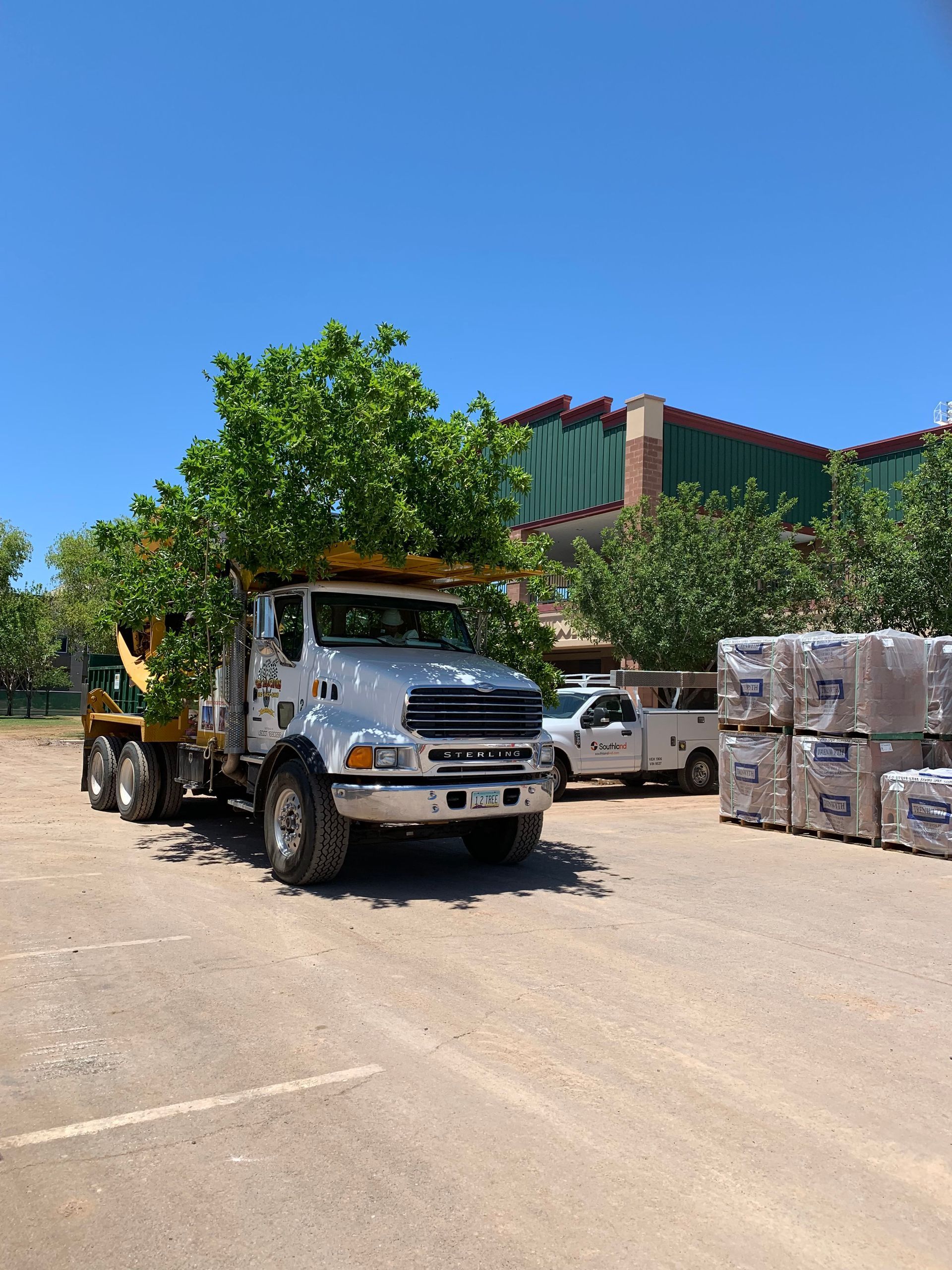 tree-relocators-inc Services