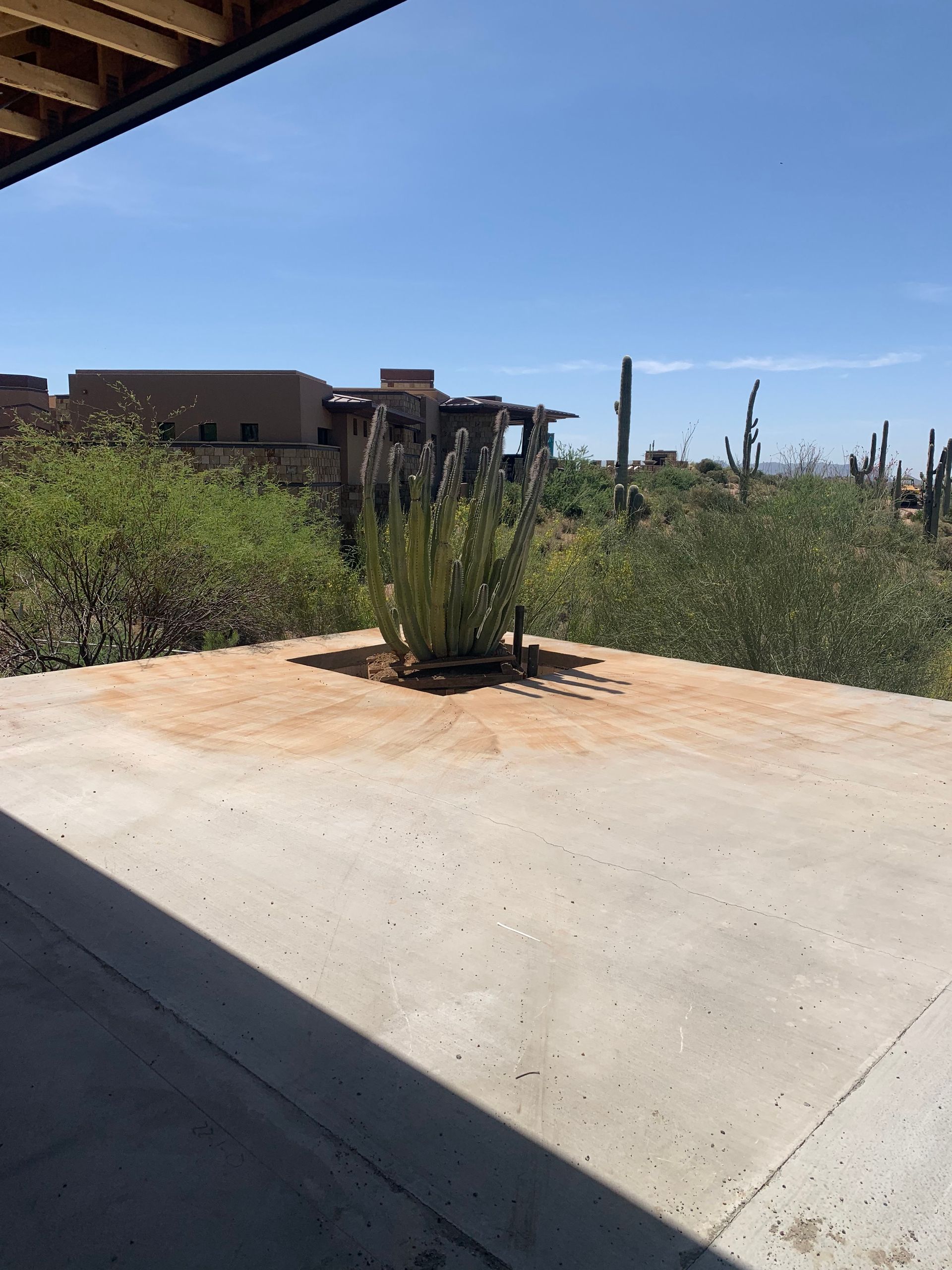 tree-relocators-inc Services