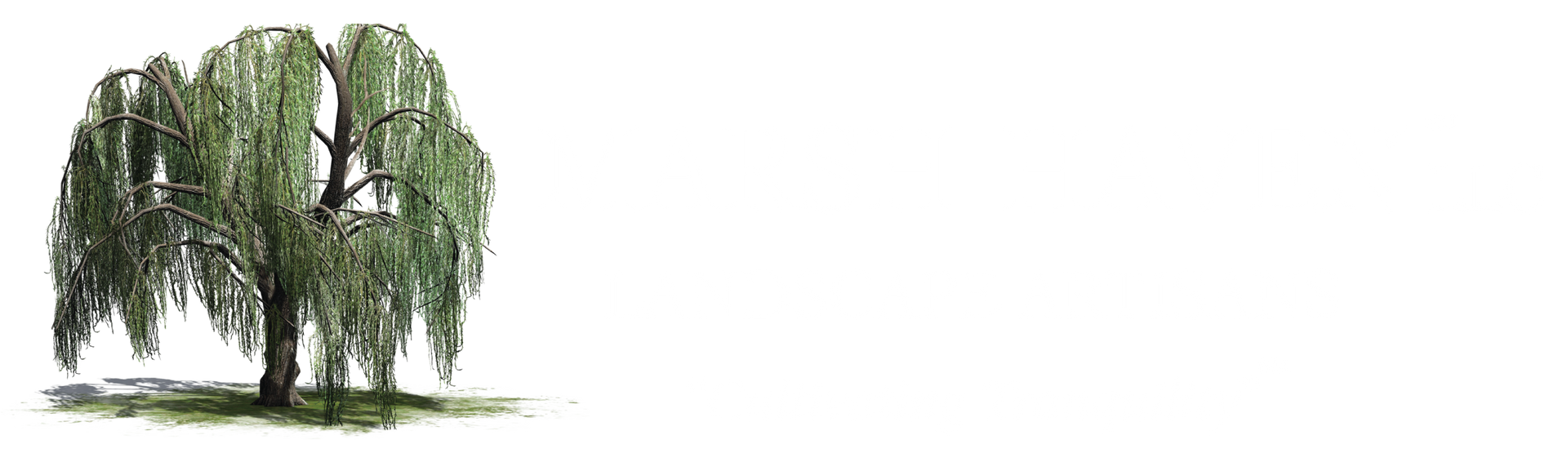 Marsh Haven LLC - Logo