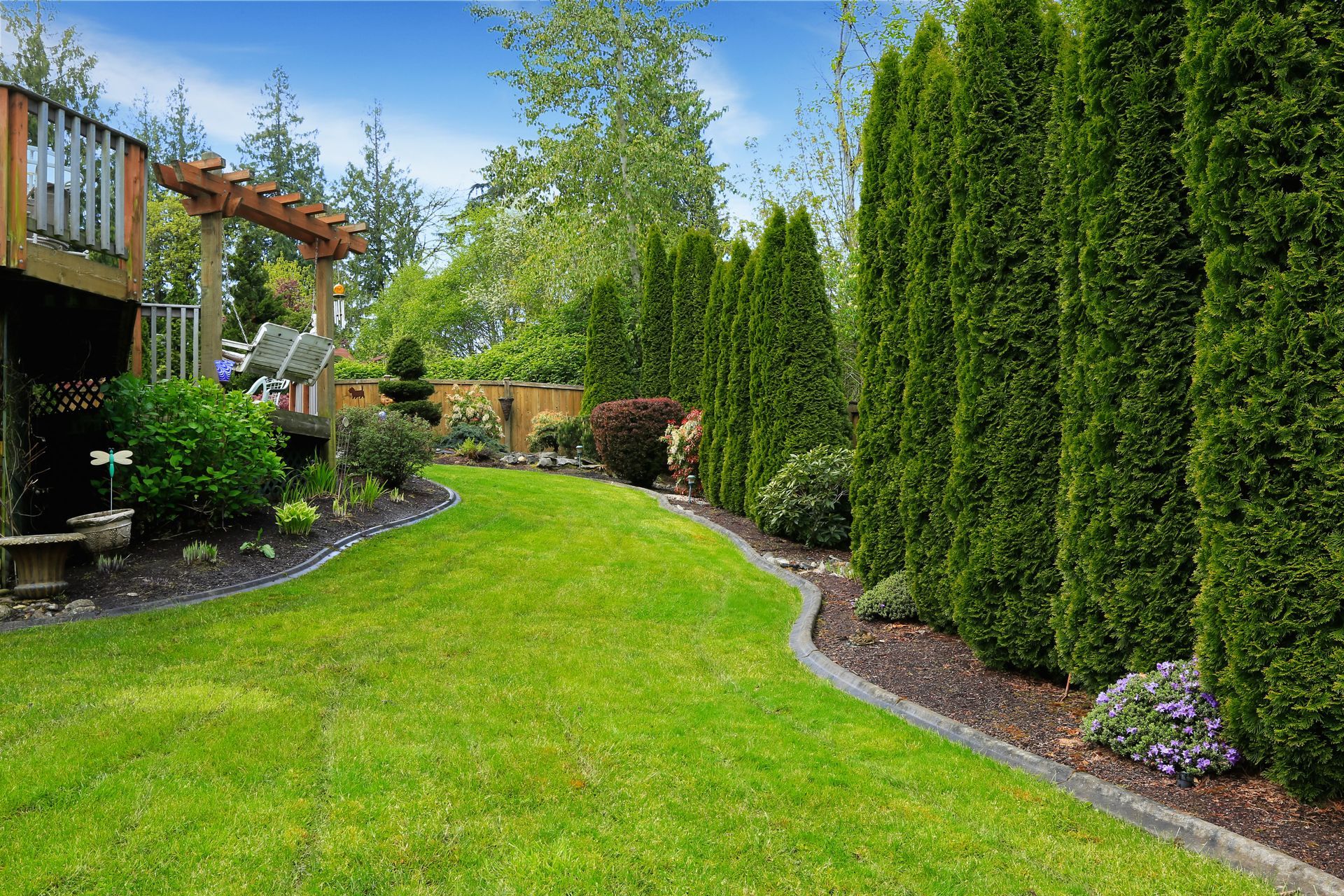 Lush green backyard with a curved lawn, tall hedges, and a wooden deck on the left
