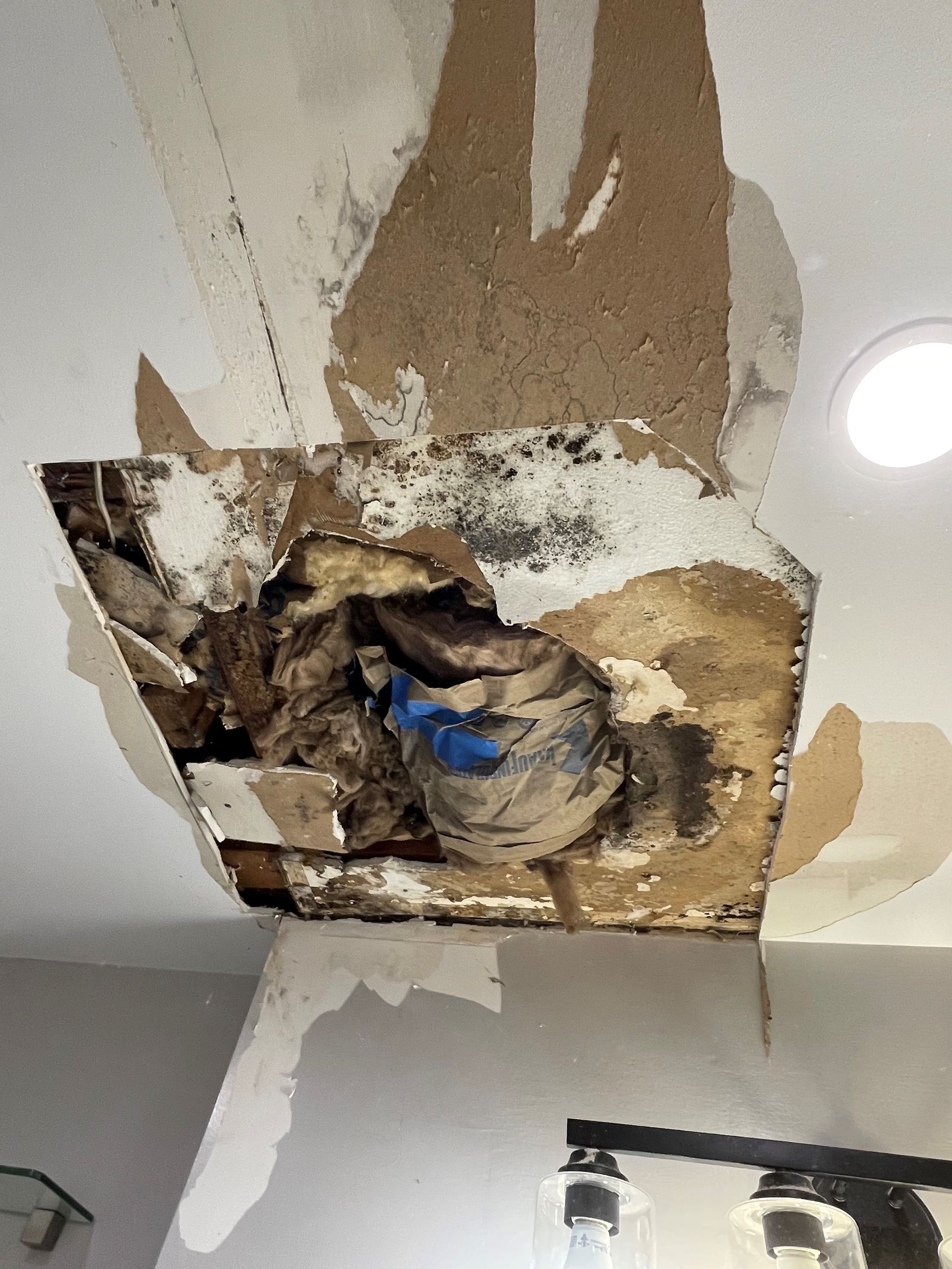 Bathroom ceiling repair renovation before