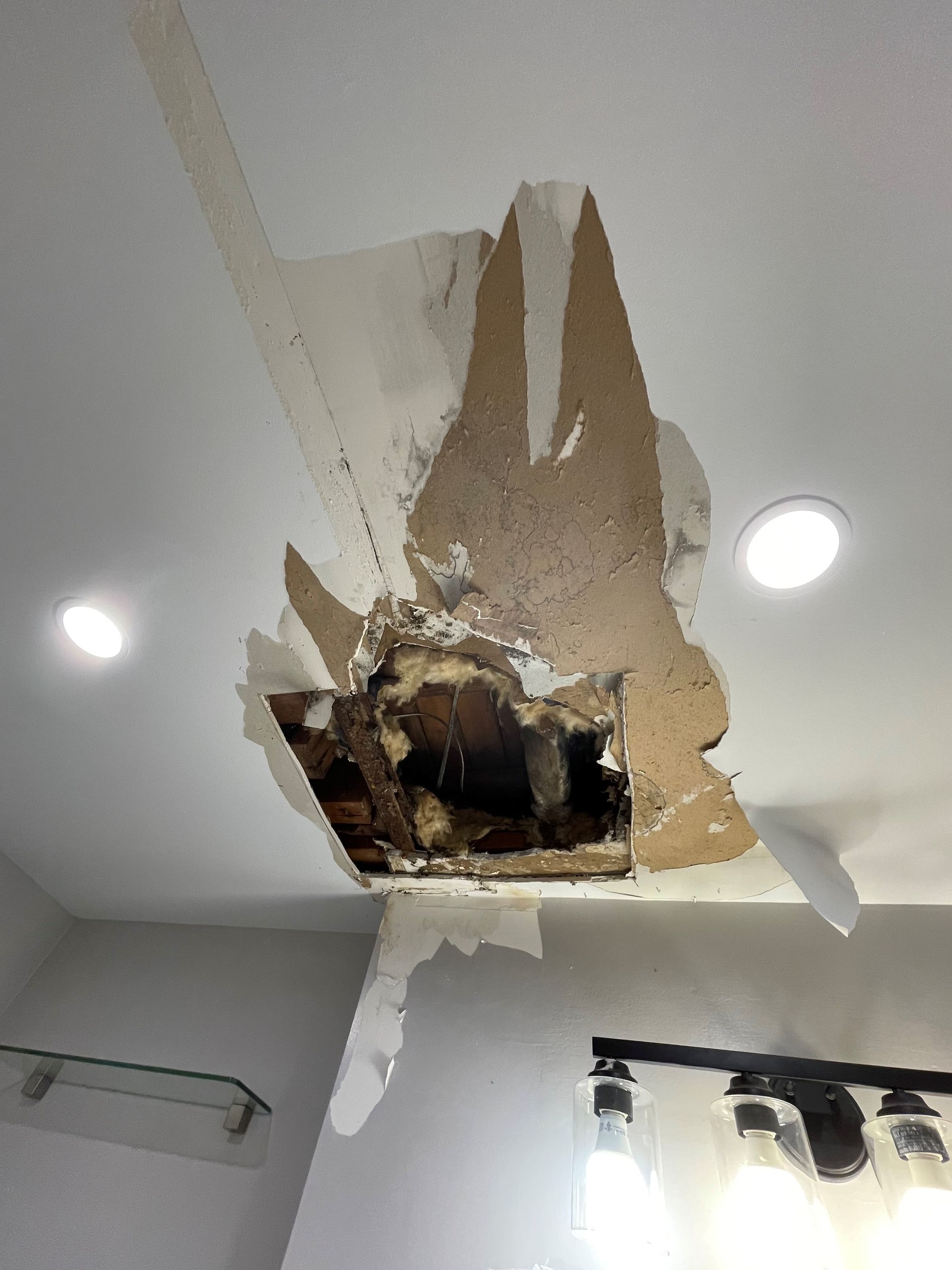 Bathroom ceiling repair renovation before