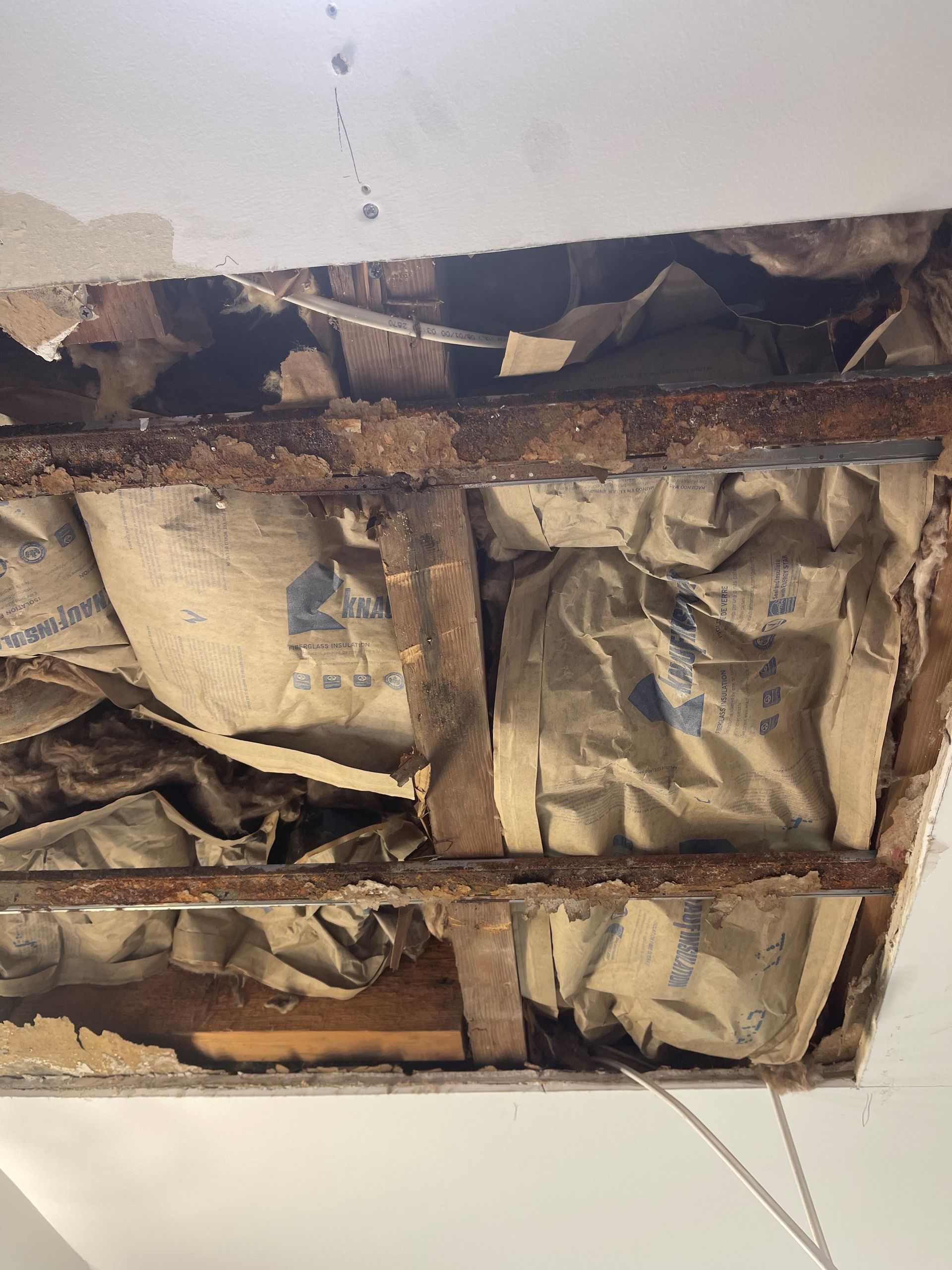 Bathroom ceiling repair renovation before