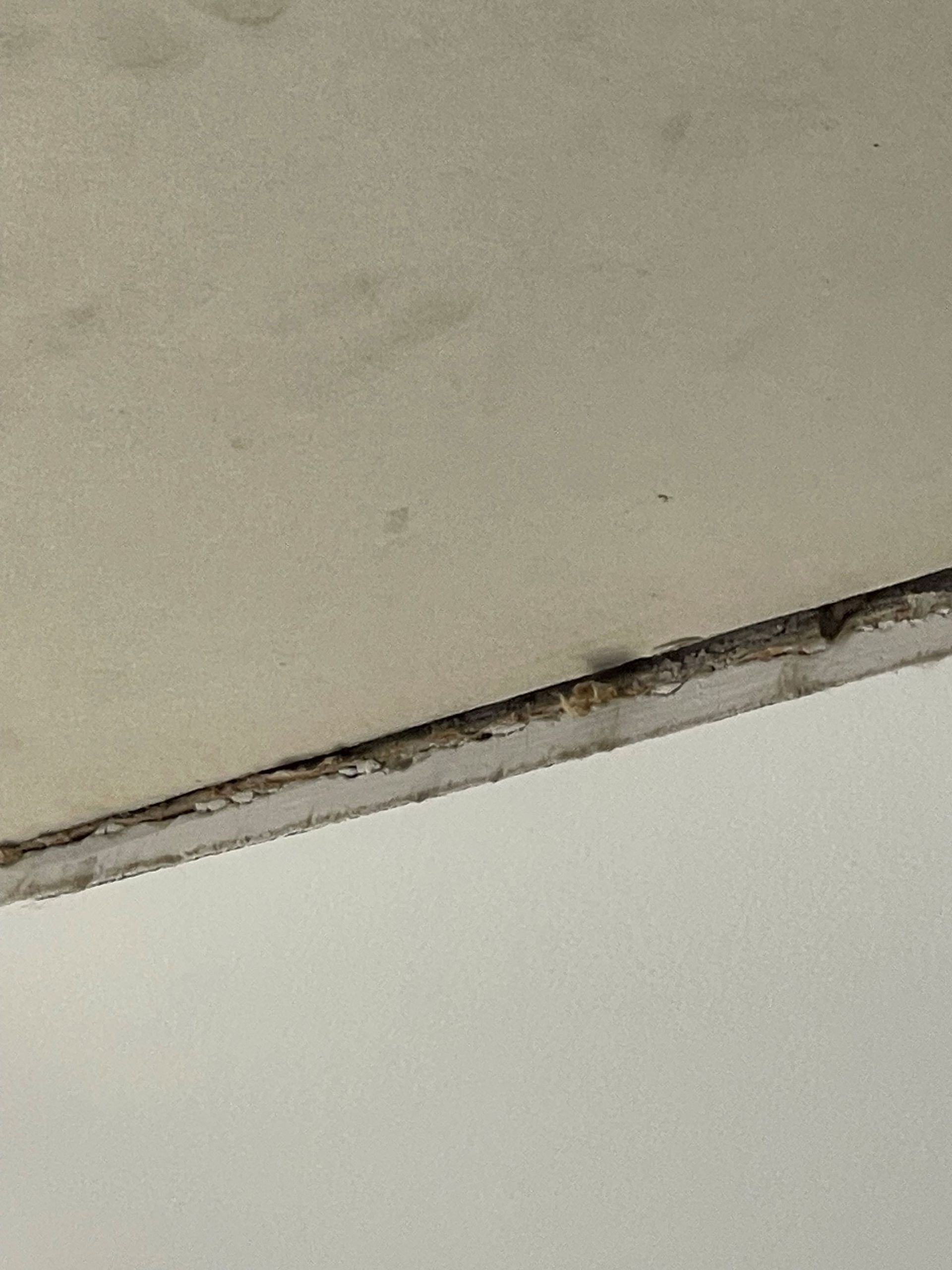 A close up of a ceiling with a few holes in it.