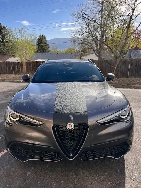 Dark gray Alfa Romeo SUV with a weathered stripe on the hood, parked outdoors in front of a fence and trees.