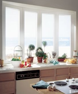 A kitchen with a lot of windows and plants on the counter