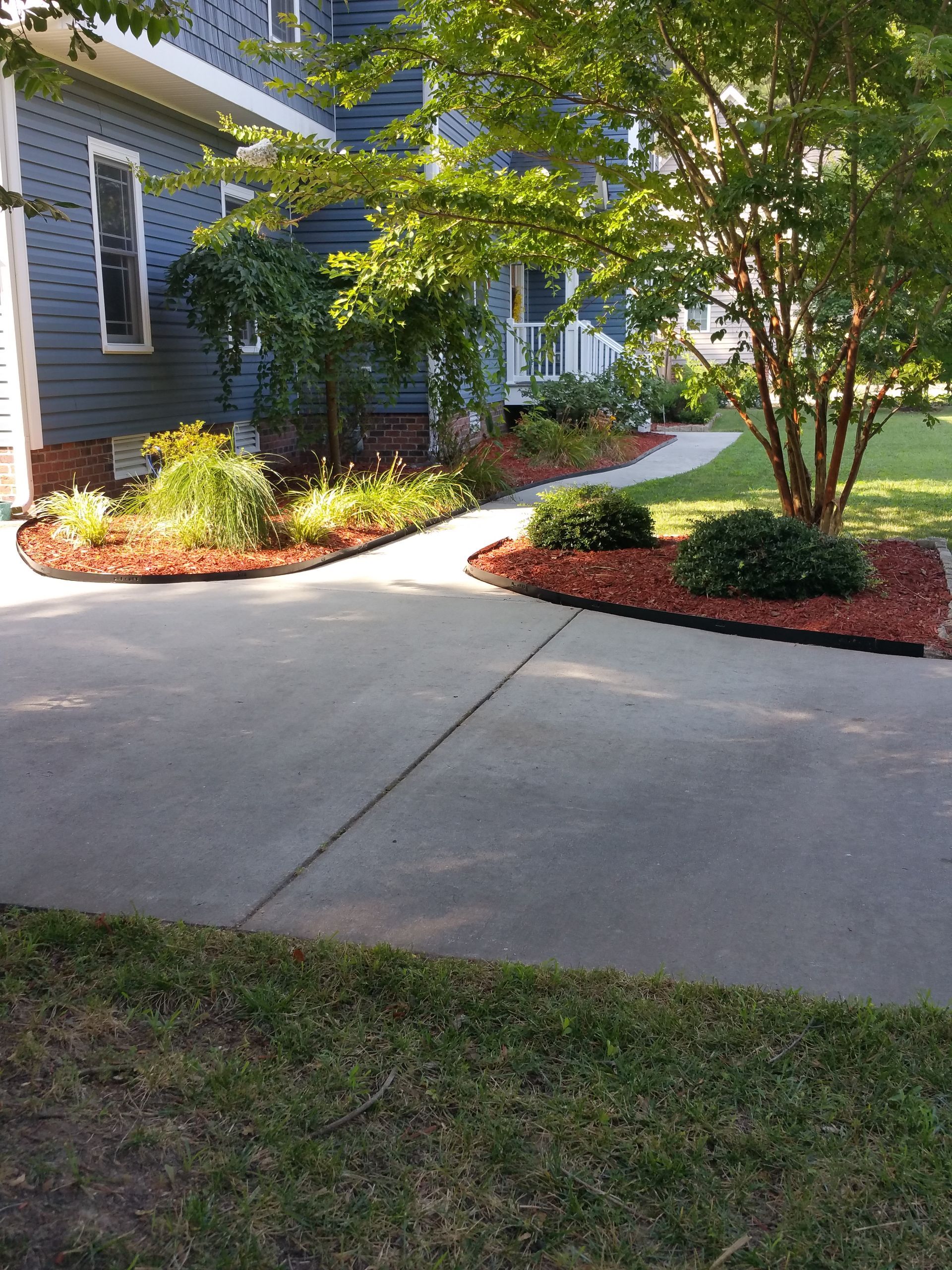 Front yard garden with driveway, flowering shrubs, and a house entrance under a leafy tree